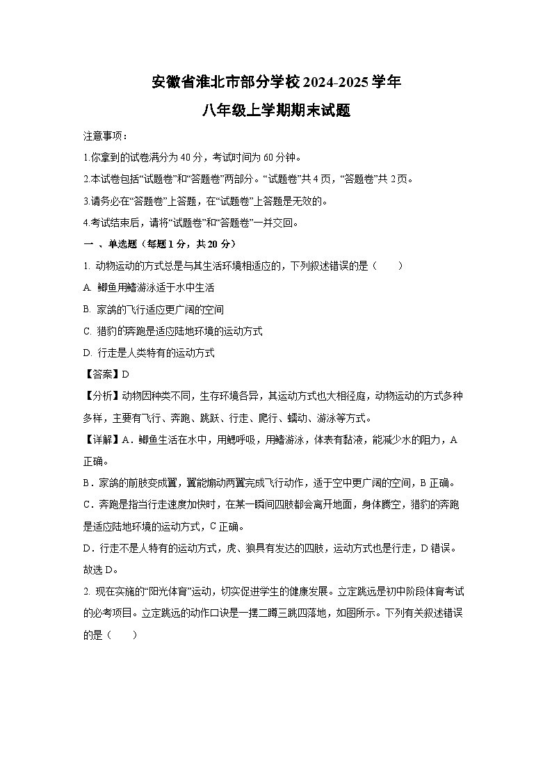 2024-2025学年安徽省淮北市部分学校八年级上学期期末生物试卷（解析版）第1页