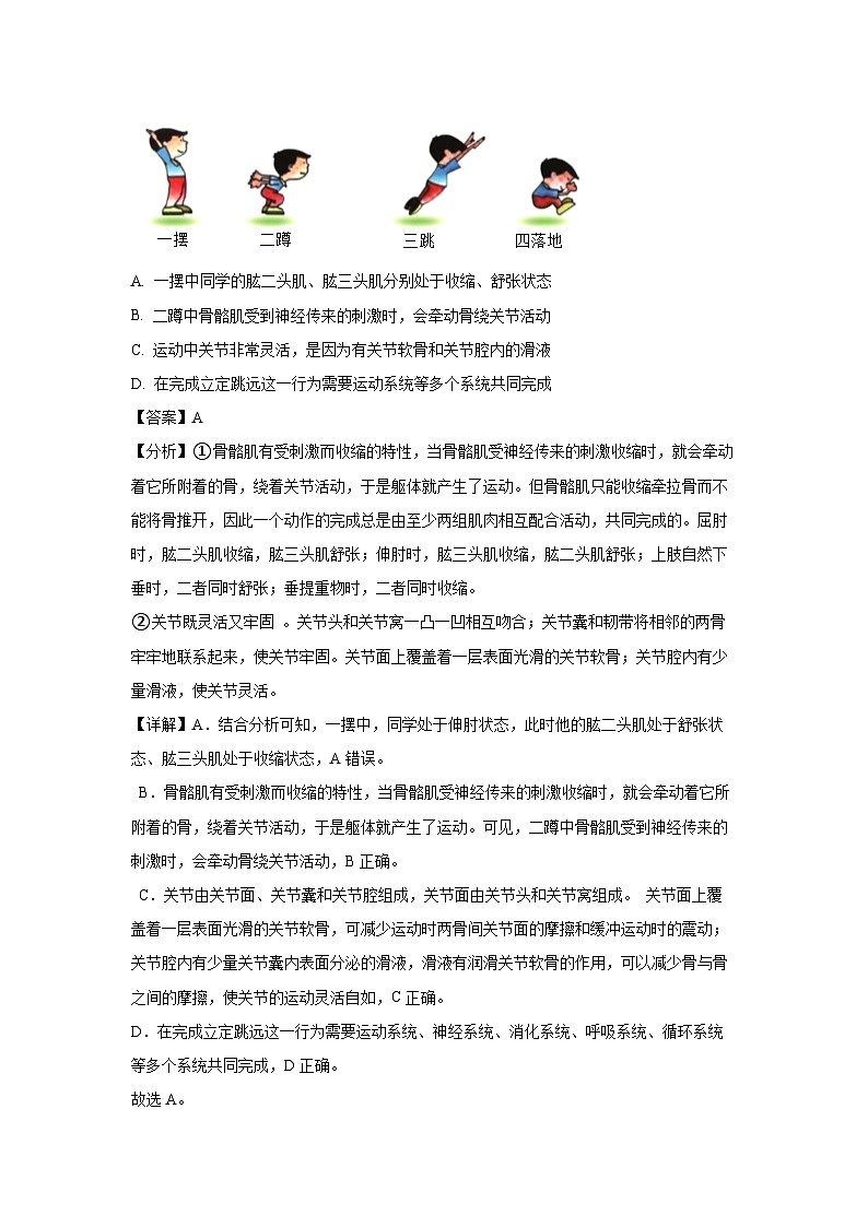 2024-2025学年安徽省淮北市部分学校八年级上学期期末生物试卷（解析版）第2页