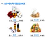 4.6.1 人類的食物 課件-2024-2025學(xué)年北師大版生物七年級(jí)下冊(cè)