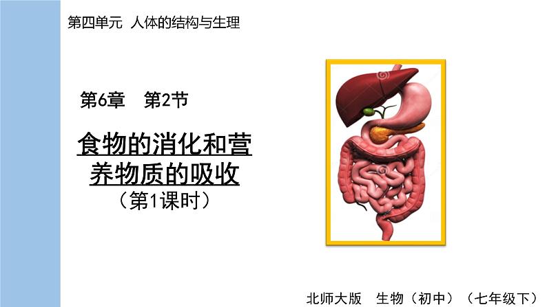 第1课时  消化系统的组成及营养物质的消化第1页