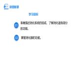 4.6.2 食物的消化和营养物质的吸收  课件-2024-2025学年北师大版生物七年级下册