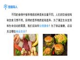 4.6.3 合理膳食與食品安全  課件-2024-2025學年北師大版生物七年級下冊