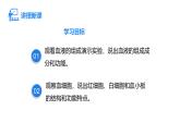 4.7.1 血液 課件-2024-2025學(xué)年北師大版生物七年級(jí)下冊(cè)