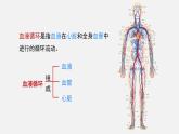 4.7.2 血液循環(huán) 課件-2024-2025學年北師大版生物七年級下冊