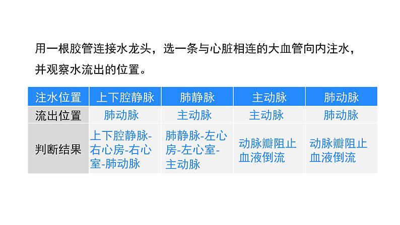 第2课时 心脏与血液循环第8页