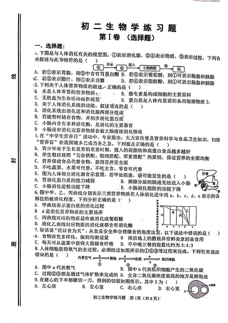 山东省淄博市桓台县2024-2025学年七年级上学期生物期末考试题第1页