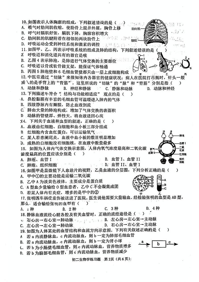 山东省淄博市桓台县2024-2025学年七年级上学期生物期末考试题第2页