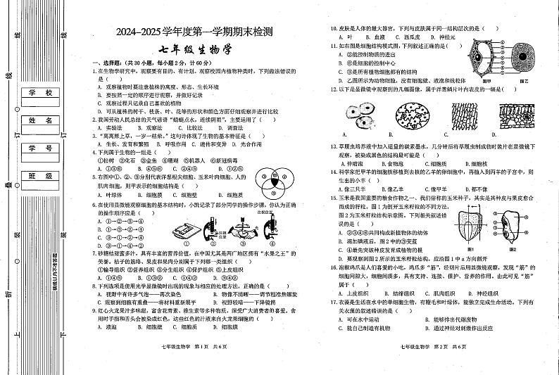 陕西省西安市第九十九中学2024-2025学年七年级上学期期末考试生物试卷第1页