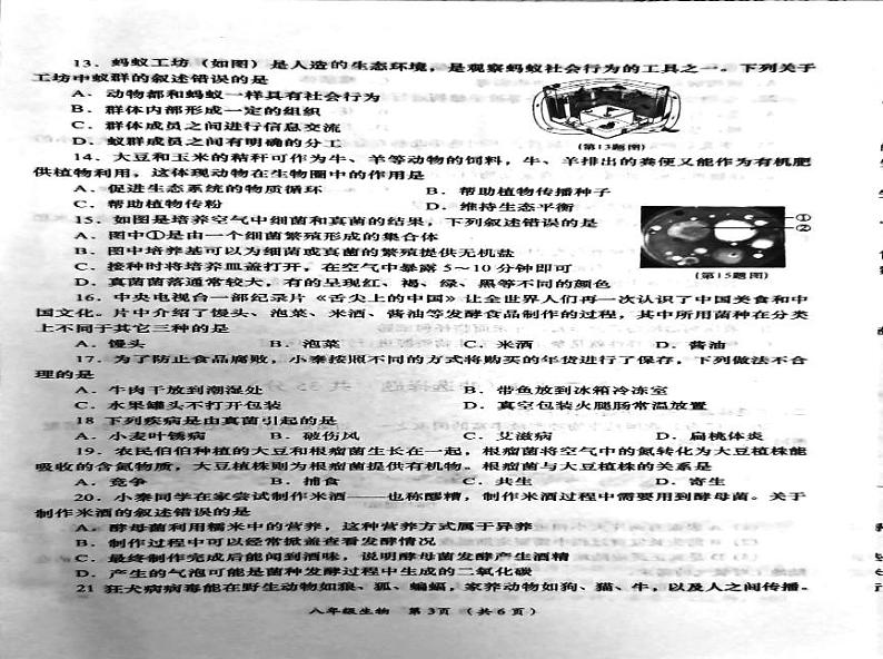 陕西省西安市鄠邑区2024-2025学年八年级上学期1月期末生物试题第2页