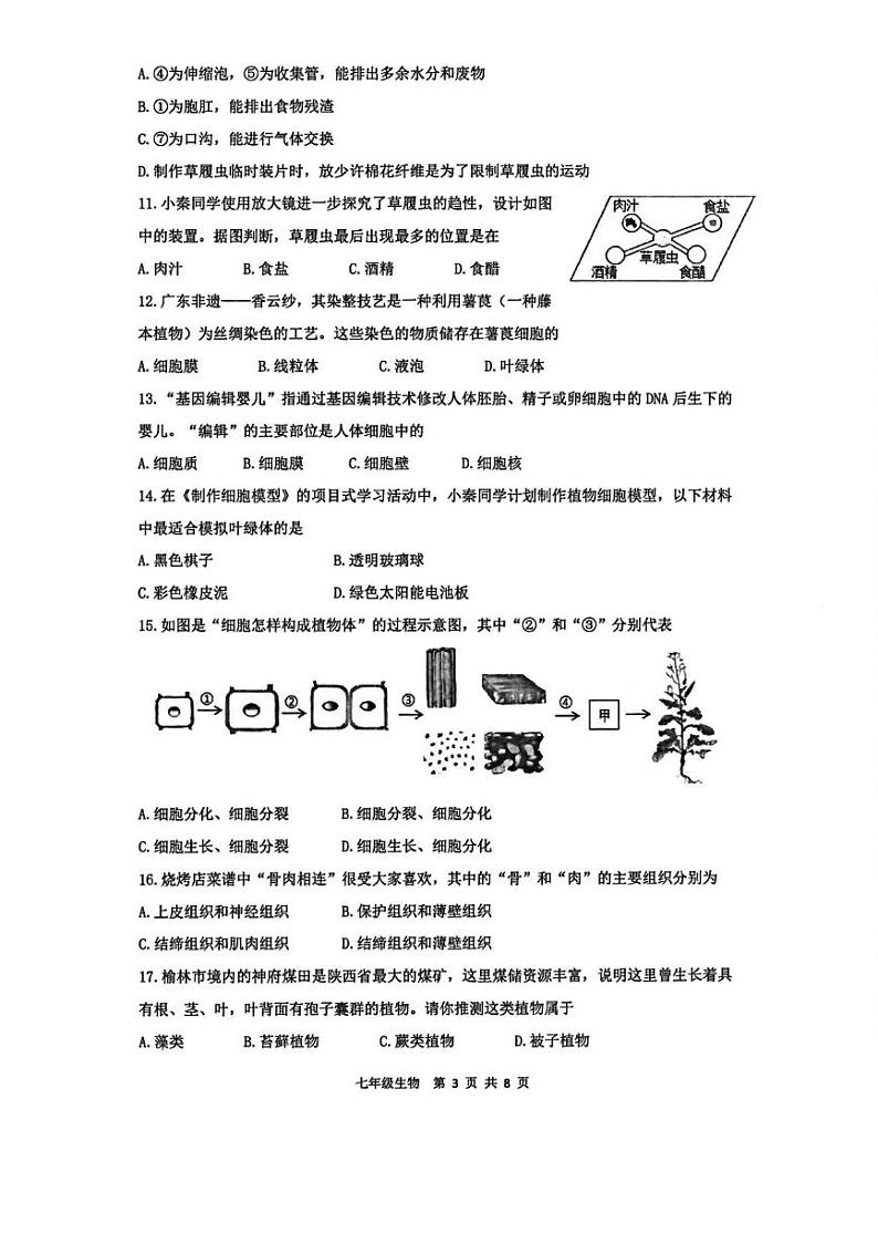 陕西省西安市铁一中学2024-2025学年七年级上学期期末生物试题第3页