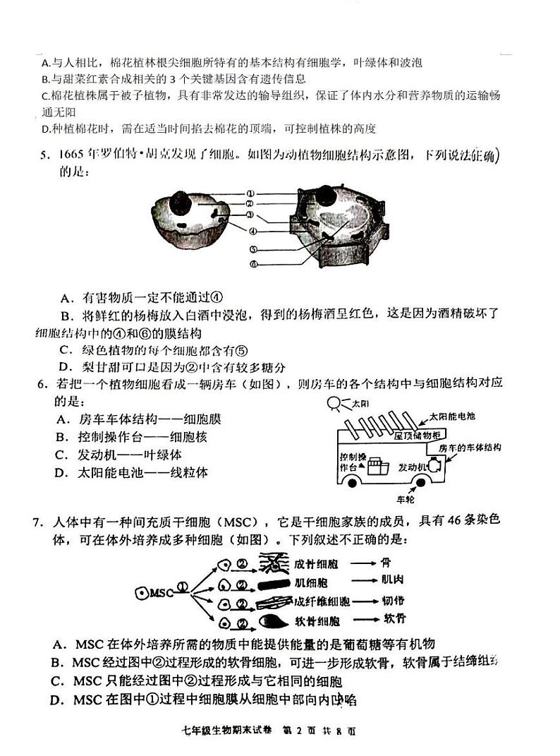 四川省德阳市广汉市2024-2025学年七年级上学期1月期末生物试题第2页