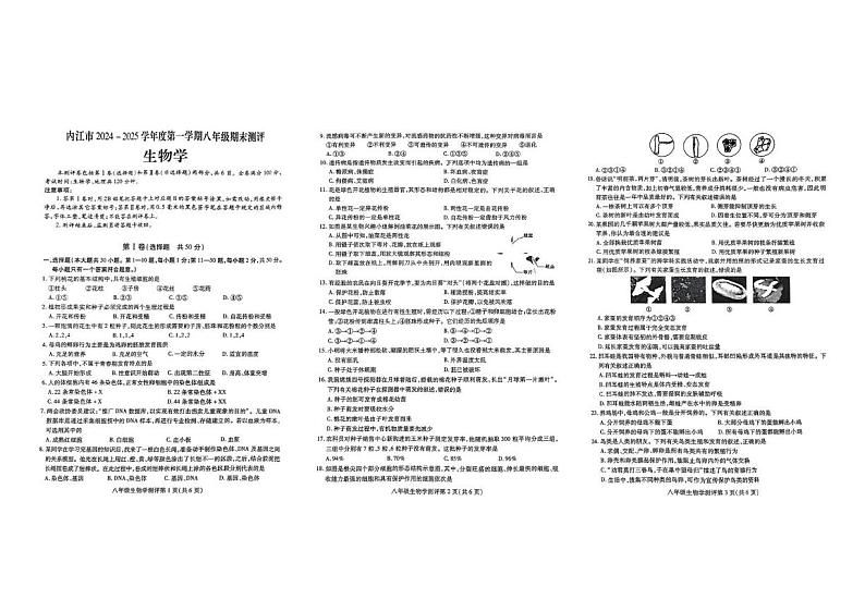 四川省内江市第六中学2024-2025学年八年级上学期期末考试生物试题第1页