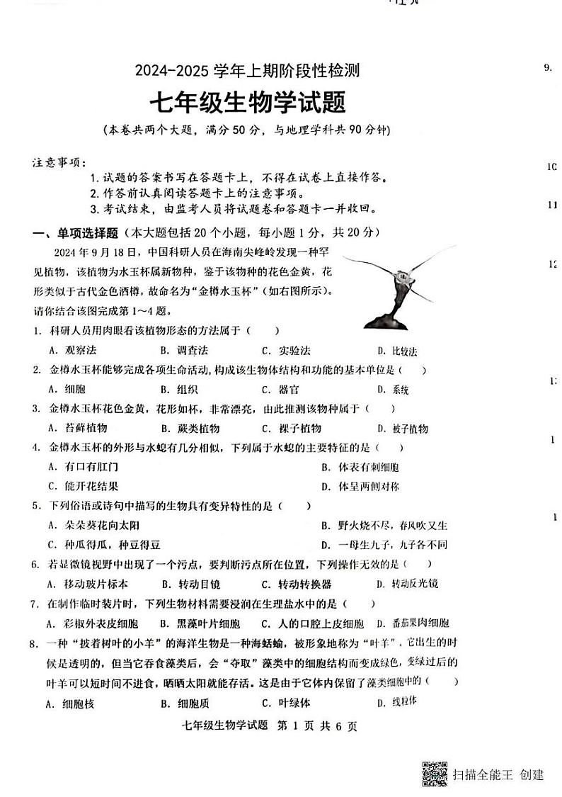 重庆市巴南区2024-2025学年七年级上学期1月期末生物试题第1页