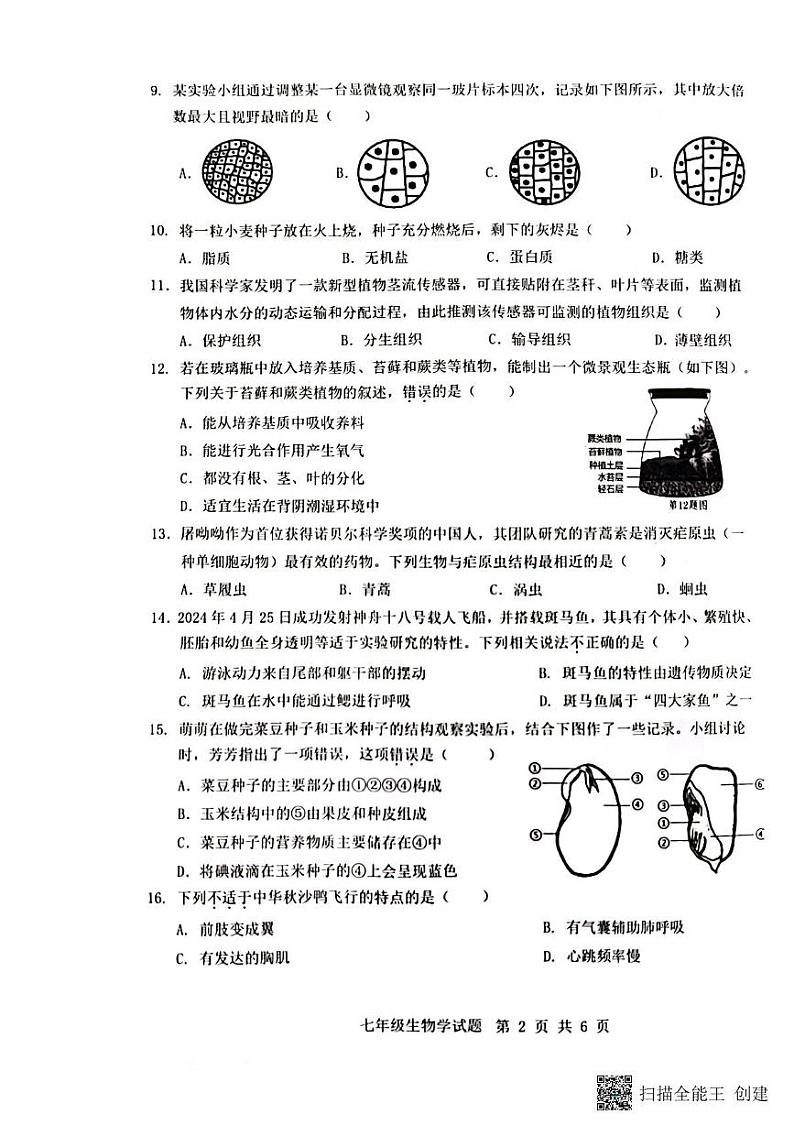 重庆市巴南区2024-2025学年七年级上学期1月期末生物试题第2页