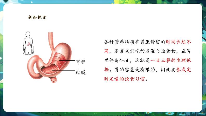 【核心素养】冀少版生物七下3.1.3.2食物在胃肠内的消化 课件第8页