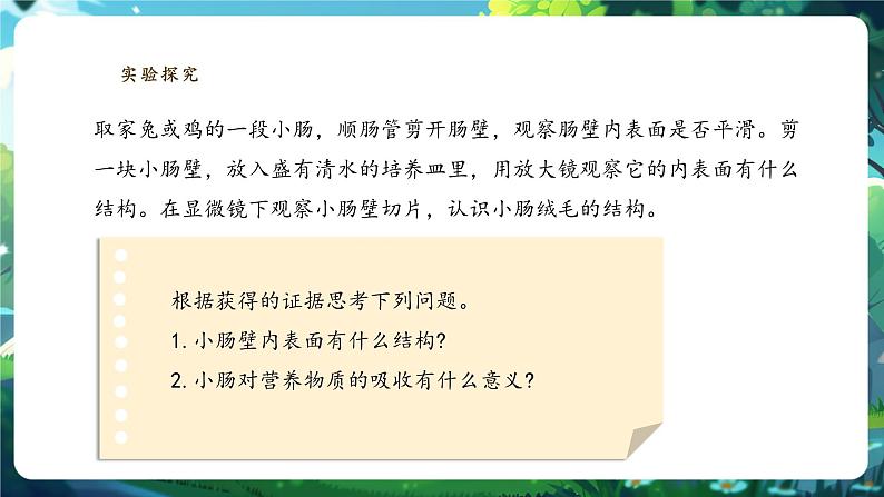 【核心素养】冀少版生物七下3.1.3.3营养物质的吸收 课件第5页