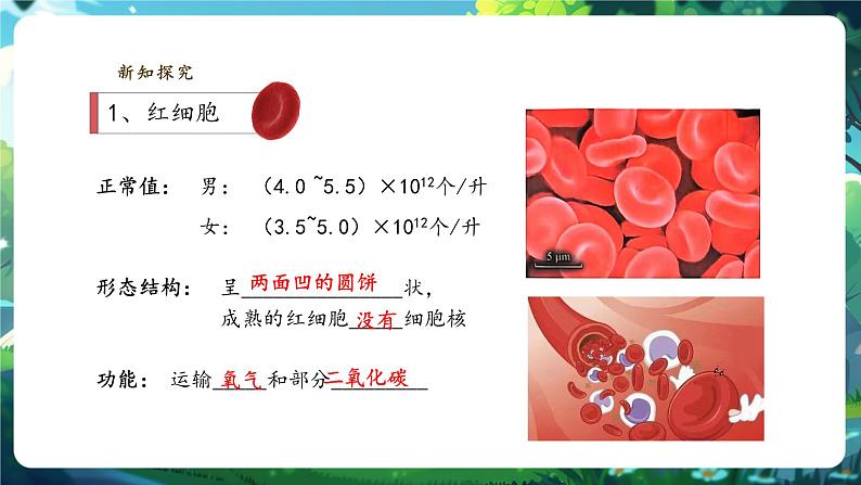 【核心素养】冀少版生物七下3.2.1.1血液 课件(共29张PPT)第6页