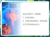 【核心素养优质课】冀少版生物七年级下册 3.2.1.2血管（课件+同步教案+导学案+分层作业）