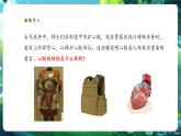 【核心素养优质课】冀少版生物七年级下册 3.2.1.3心脏（课件+同步教案+导学案+分层作业）