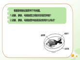 3.2.1  血液循環(huán)系統(tǒng)的組成（二、血管）課件-2024-2025學(xué)年七年級(jí)生物下冊（冀少版2024）