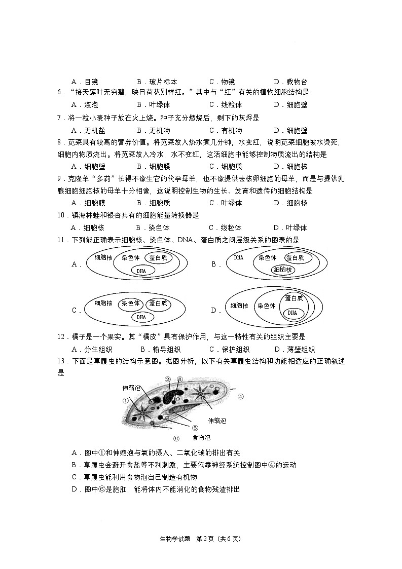 初中生物学七上期末试卷2024.12第2页
