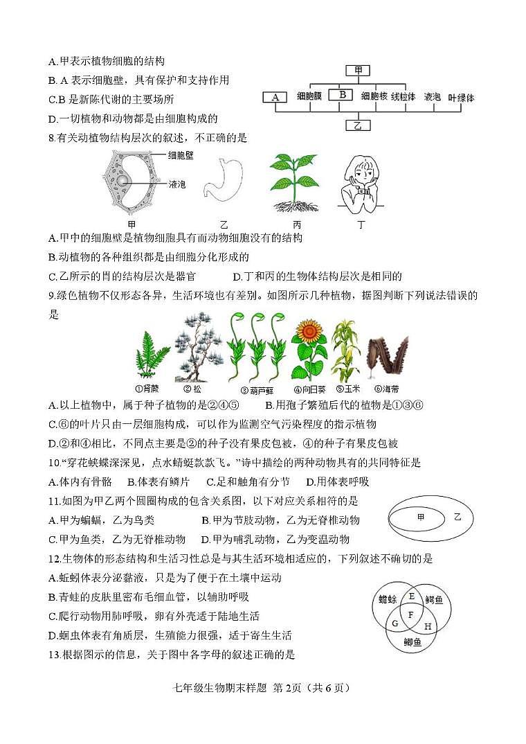 （教研室）山东省菏泽市定陶区2024-2025学年七年级上学期期末考试生物试题第2页