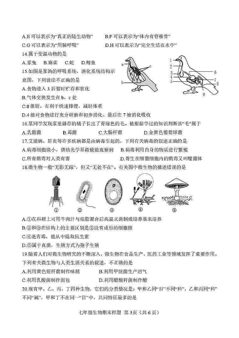 （教研室）山东省菏泽市定陶区2024-2025学年七年级上学期期末考试生物试题第3页