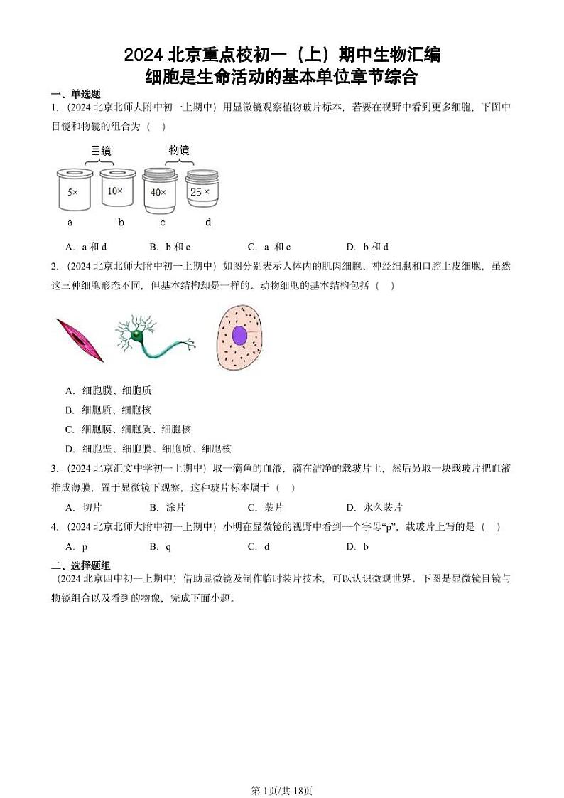 2024北京重点校初一（上）期中真题生物汇编：细胞是生命活动的基本单位章节综合第1页
