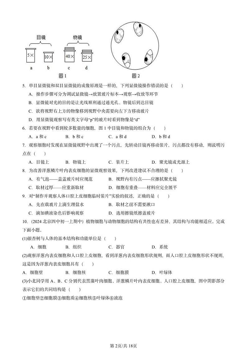 2024北京重点校初一（上）期中真题生物汇编：细胞是生命活动的基本单位章节综合第2页