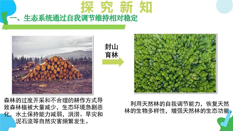 3.8.1 生态系统的自我调节（教学课件）-2024-2025学年七年级生物下册同步精品课堂（苏教版2024）第7页