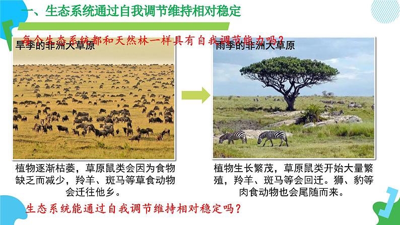 3.8.1 生态系统的自我调节（教学课件）-2024-2025学年七年级生物下册同步精品课堂（苏教版2024）第8页