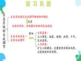 3.8.2 生態(tài)安全（教學(xué)課件）-2024-2025學(xué)年七年級(jí)生物下冊(cè)同步精品課堂（蘇教版2024）