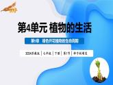 4.9.1 种子的萌发（教学课件）2024-2025学年苏教版生物七年级下册
