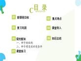 4.9.1 种子的萌发（教学课件）2024-2025学年苏教版生物七年级下册