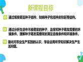 4.9.1 种子的萌发（教学课件）2024-2025学年苏教版生物七年级下册