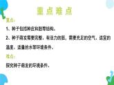 4.9.1 种子的萌发（教学课件）2024-2025学年苏教版生物七年级下册