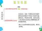 4.9.1 种子的萌发（教学课件）2024-2025学年苏教版生物七年级下册