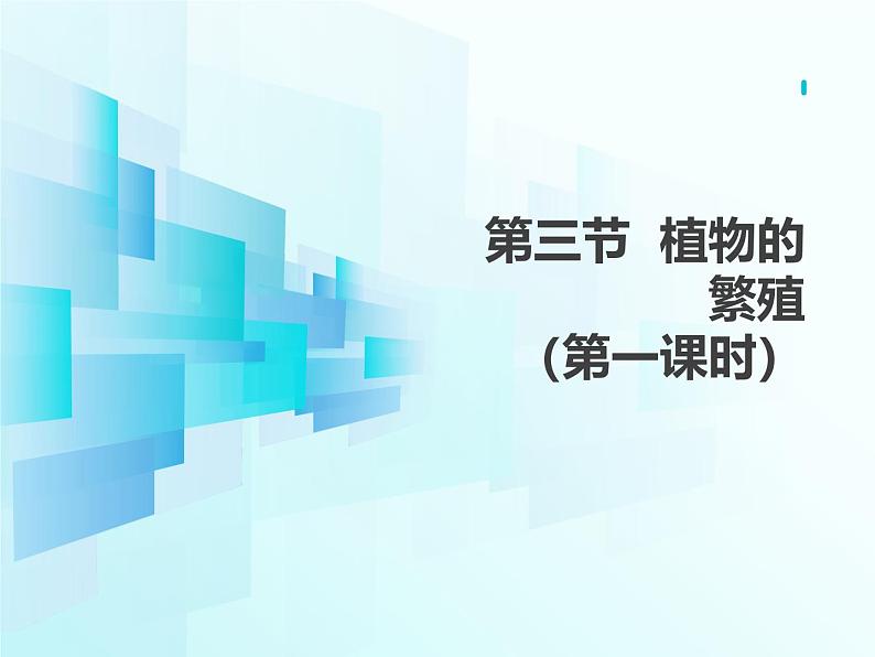 4.9.3  植物的繁殖（第一课时）课件-2024-2025学年苏教版生物七年级下册第1页