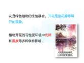 4.9.3  植物的繁殖（第一課時）課件-2024-2025學年蘇教版生物七年級下冊