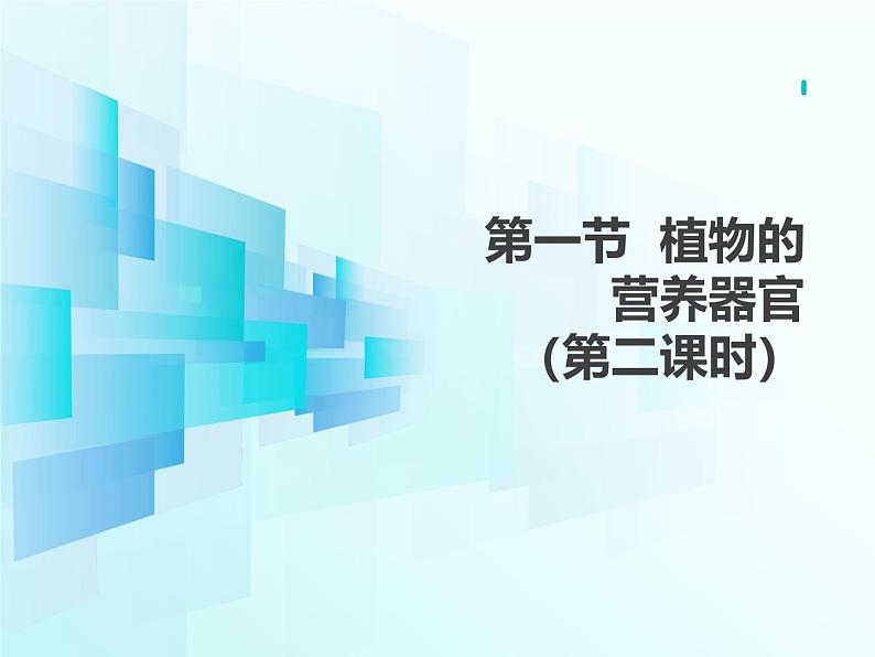 4.10.1   植物的营养器官（第二课时）课件-2024-2025学年苏教版生物七年级下册第1页