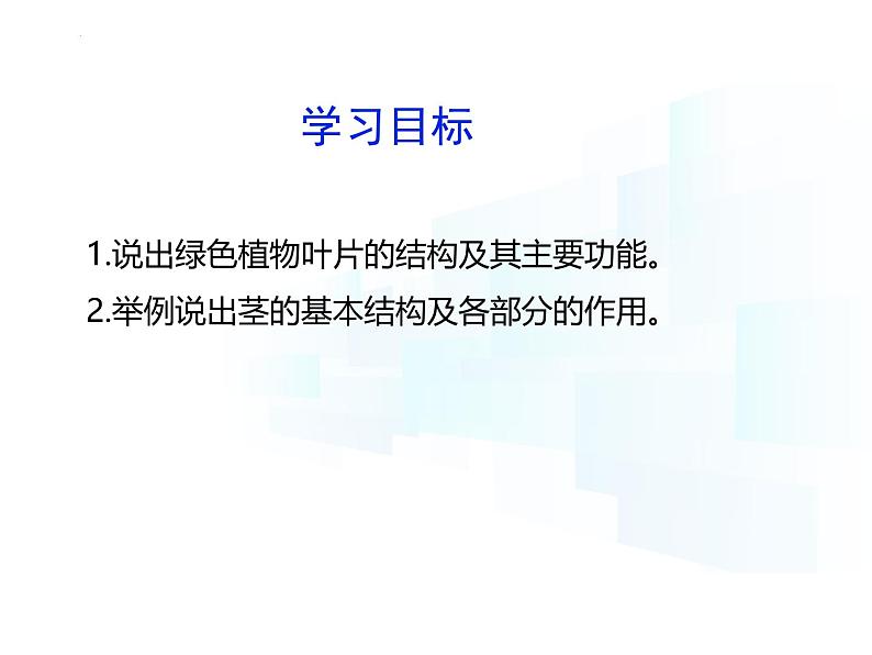 4.10.1   植物的营养器官（第二课时）课件-2024-2025学年苏教版生物七年级下册第3页