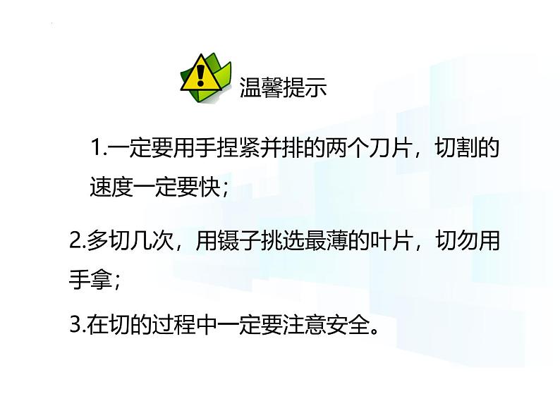 4.10.1   植物的营养器官（第二课时）课件-2024-2025学年苏教版生物七年级下册第7页