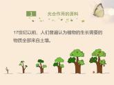 4.11.1   植物的光合作用  课件-2024-2025学年苏教版生物七年级下册