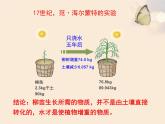 4.11.1   植物的光合作用  课件-2024-2025学年苏教版生物七年级下册