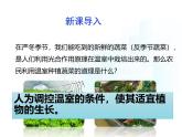 4.11.3   光合作用和呼吸作用原理的應(yīng)用  課件-2024-2025學(xué)年蘇教版生物七年級(jí)下冊(cè)