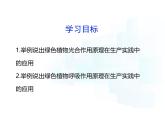 4.11.3   光合作用和呼吸作用原理的應(yīng)用  課件-2024-2025學(xué)年蘇教版生物七年級(jí)下冊(cè)