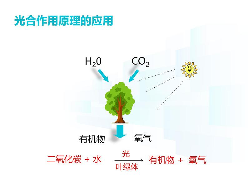 4.11.3   光合作用和呼吸作用原理的应用  课件-2024-2025学年苏教版生物七年级下册第4页