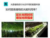 4.11.3   光合作用和呼吸作用原理的應(yīng)用  課件-2024-2025學(xué)年蘇教版生物七年級(jí)下冊(cè)