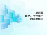 4.11.4   植物在生物圈中的重要作用  課件-2024-2025學(xué)年蘇教版生物七年級下冊