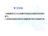 4.11.4   植物在生物圈中的重要作用  課件-2024-2025學(xué)年蘇教版生物七年級下冊